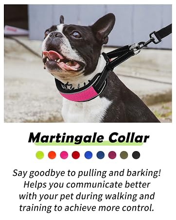 Martingale Collar for Dogs