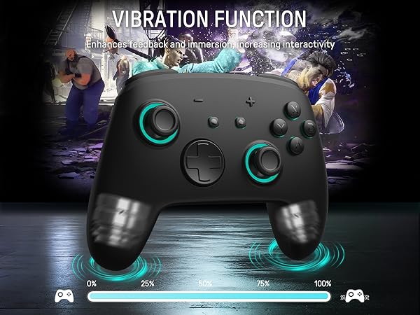 nintendo switch pro controller