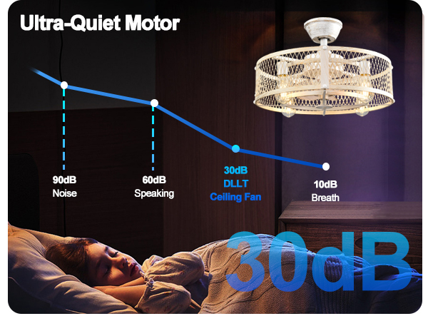 caged ceiling fan