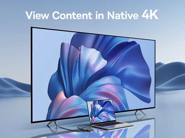 docking station dual monitor