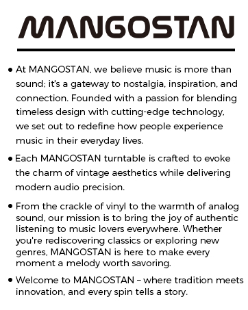 vinyl record turntable for vinyl records record player bluetooth speakers for record player