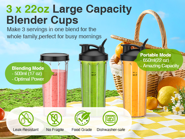 blender for smoothies