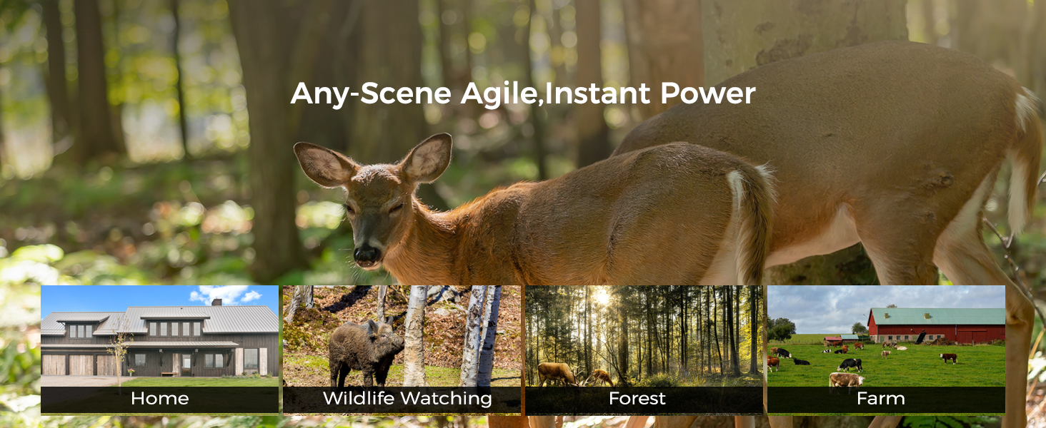 Multiple Usage Scenarios Deer Camera