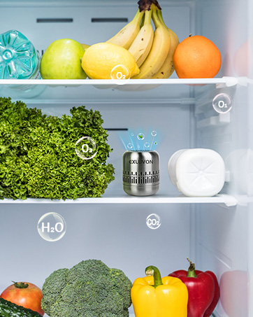 Refrigerator Deodorizer