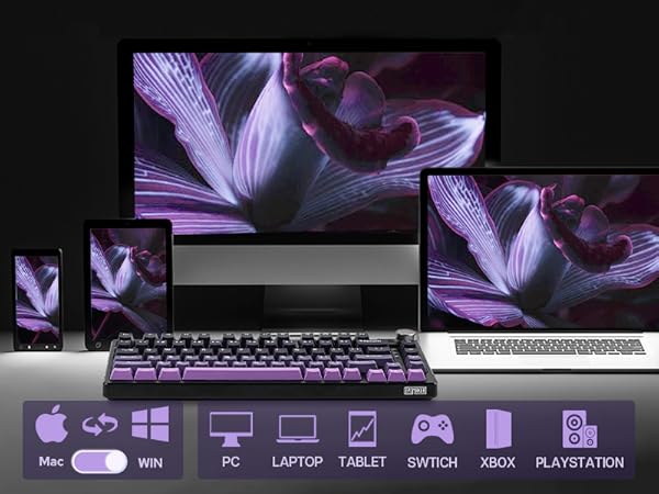 HE75 Magnetic Gaming Keyboard