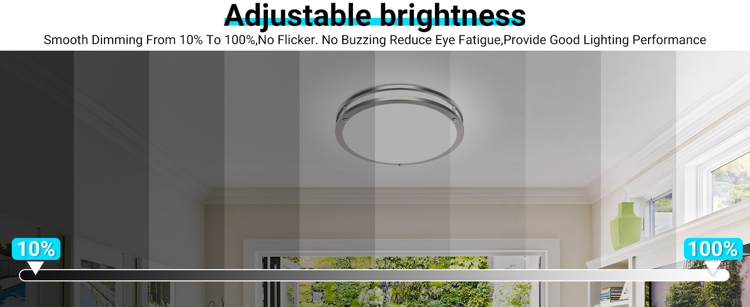 &amp;#39;Adjustable brightness&amp;#39;. Screenshot showing brightness adjustment interface with slider control