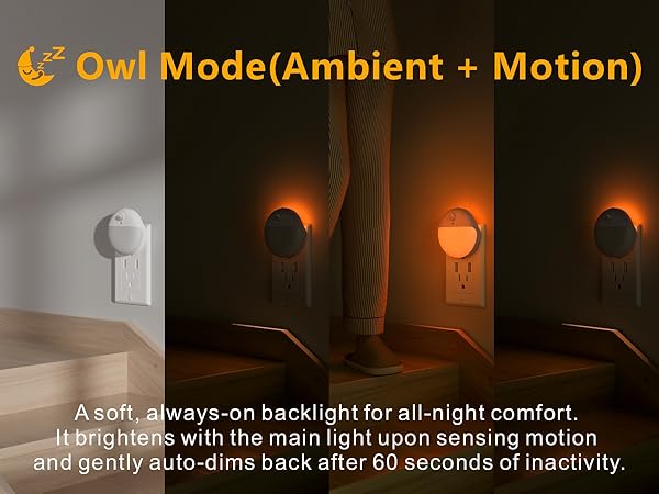 owl night light