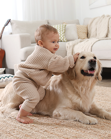 AC/HVAC Furnace Filter, Permanent Air Filter