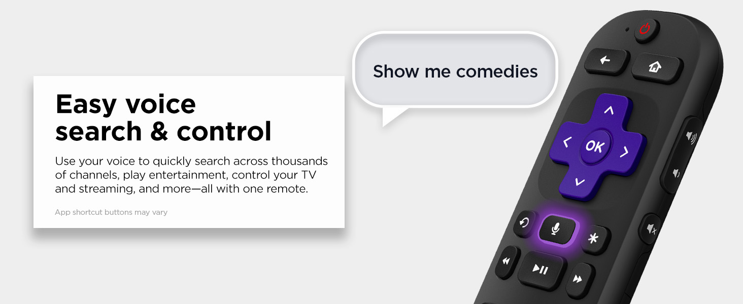 Voice Remote