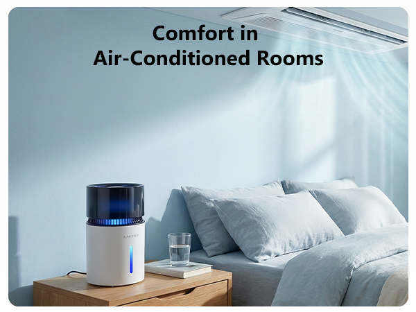 Mist-Free Evaporative Humidifier