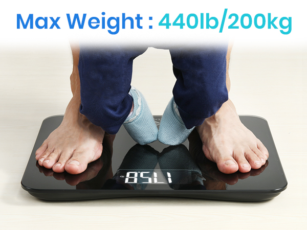 max weight up to 440lb