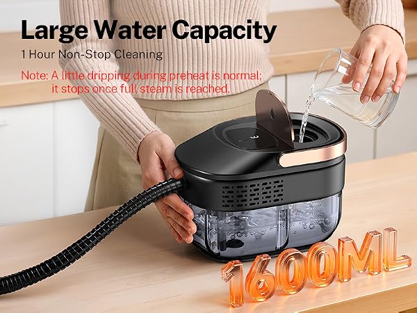 steam cleaner for home
