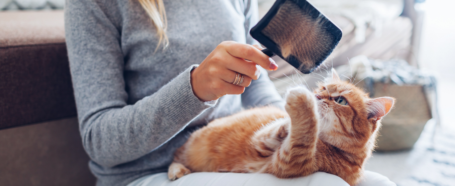 True HEPA Air Purifiers for home Large Room bedroom air purifier air cleaner filter pets