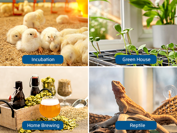 Temperature Controller