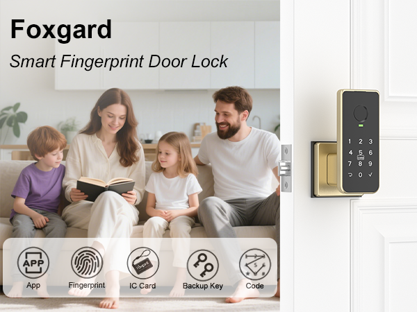 fingerprint door lock gold