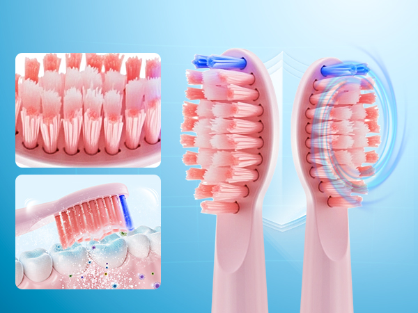 Medical educational display showing anatomical models of teeth and gums from multiple angles against a blue background, demonstrating various dental conditions.