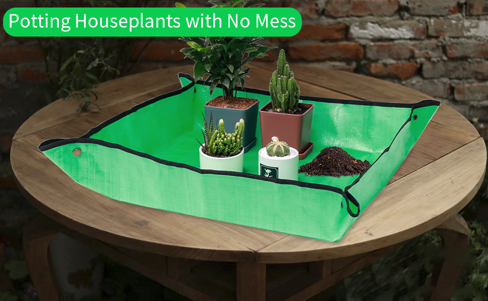 hanging planters for indoor plants, succulents plants live, plant pots, indoor plants, soil,garden