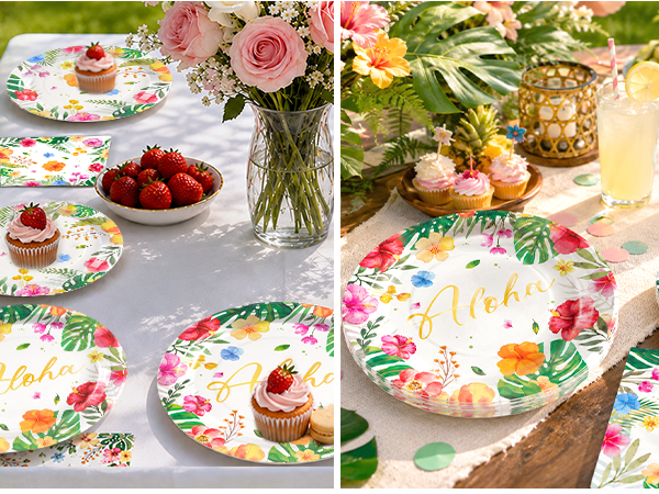 paper plate and napkins