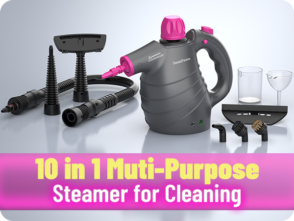 hand held steam cleaner