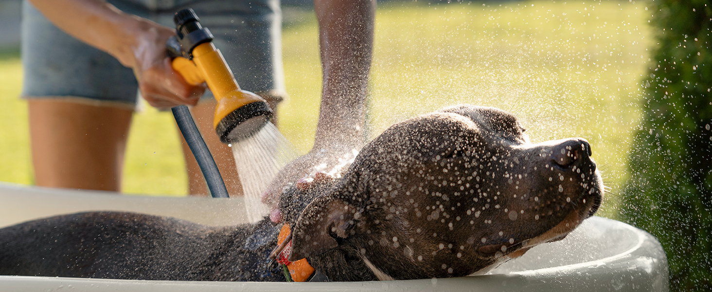 Pet Bathing