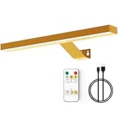 MIOBLUE Wireless Picture Lights with Remote - Rechargeable Battery Art Display Light - 16" Full M...