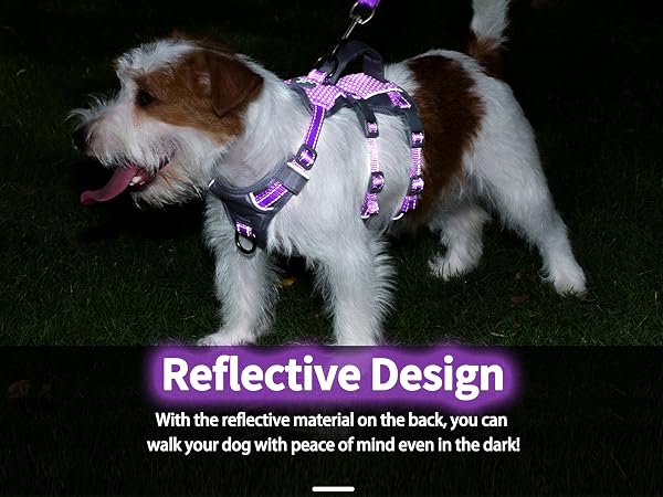 dog harness with handle 