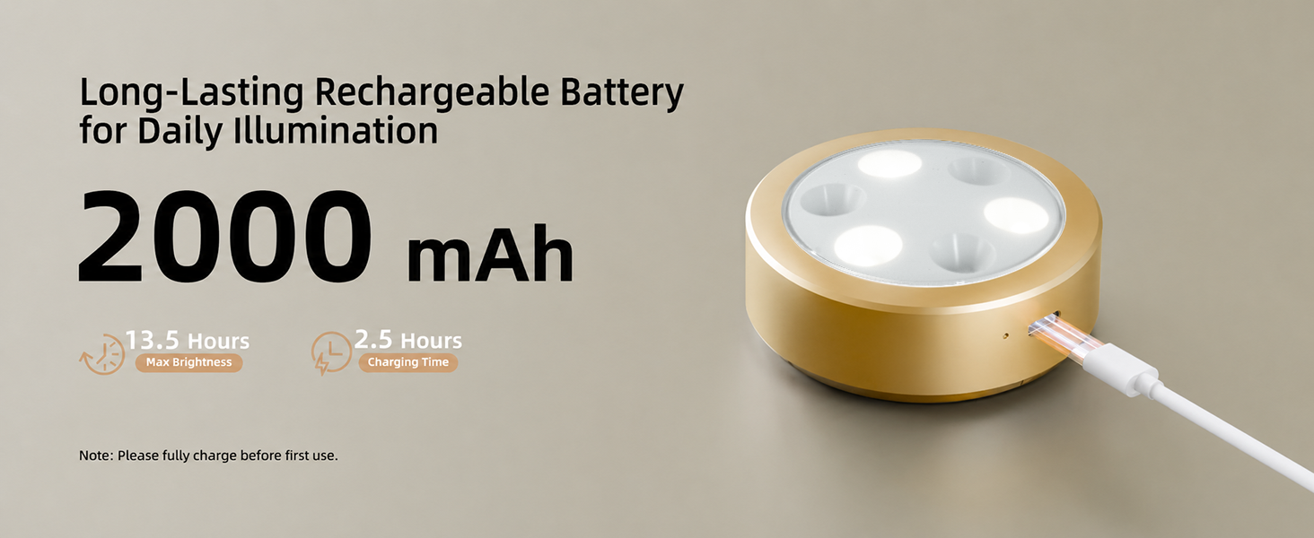 picture light battery operated