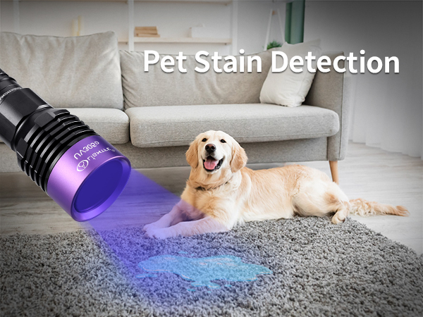 Detection of pet urine stains and stains