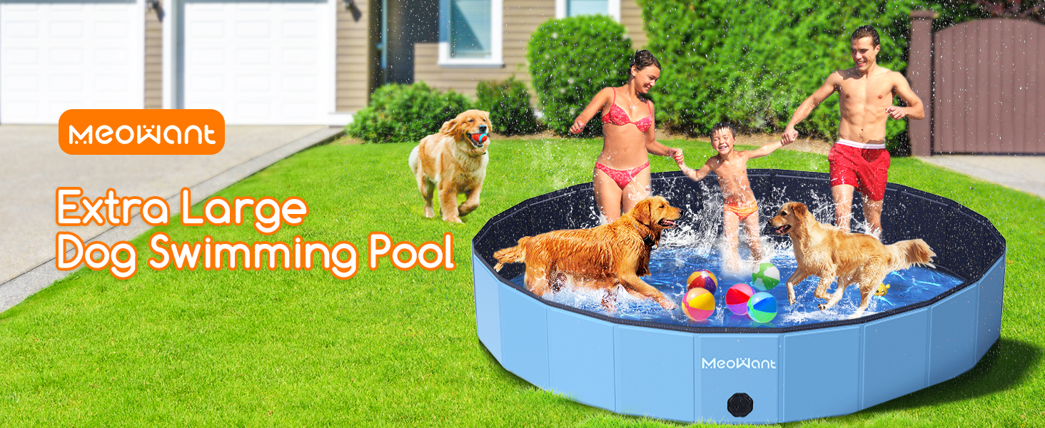 extra large dog pool