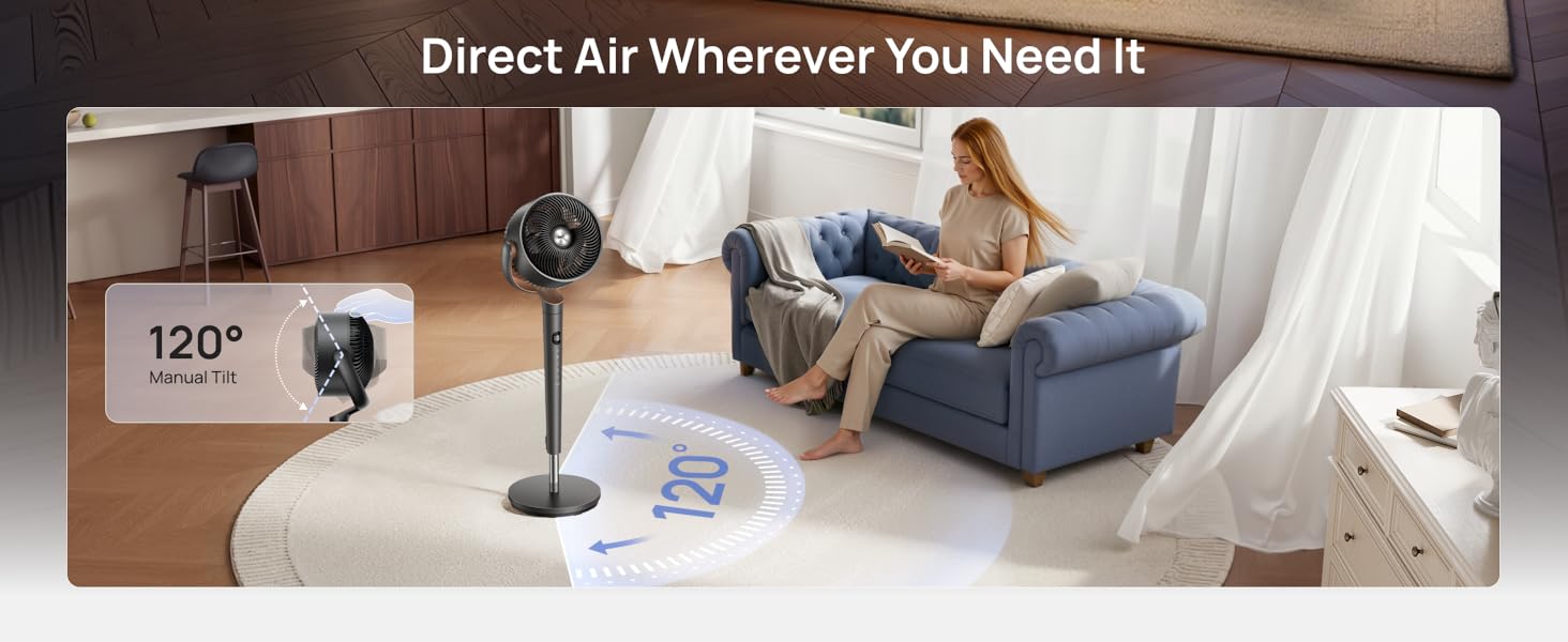 Poly Pedestal Fan