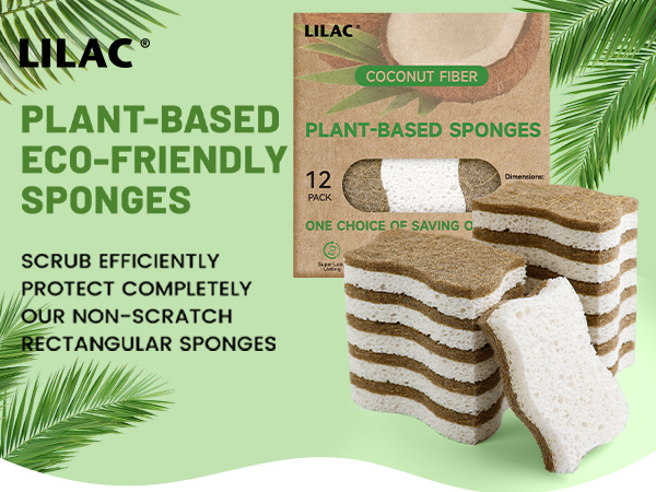 kitchen sponge