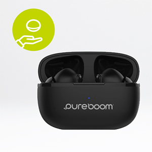 Bluetooth Wireless Earbuds