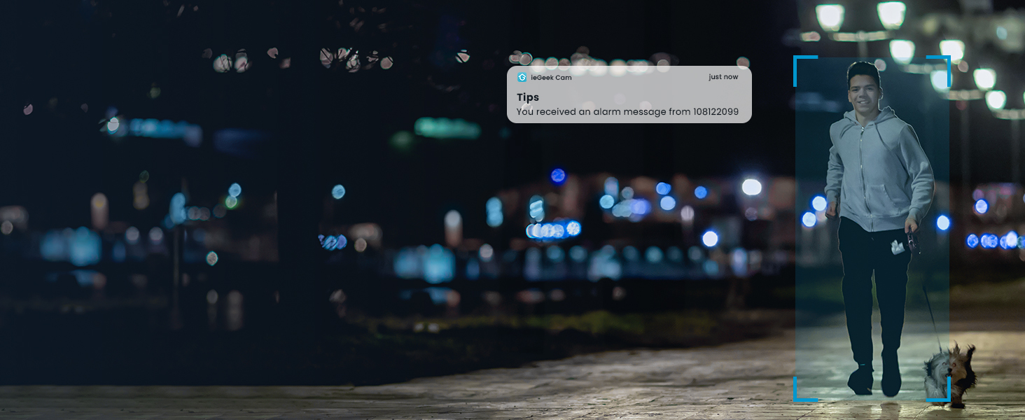 solar wireless security camera