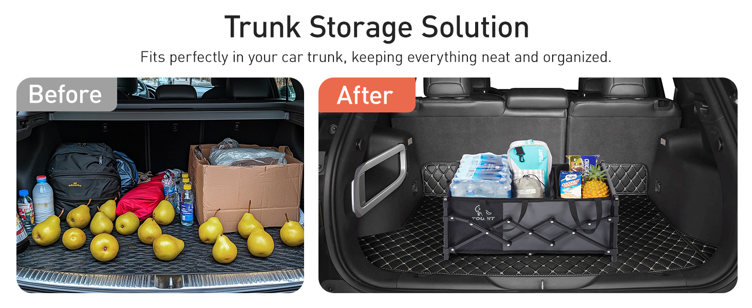 Trunk Storage Solution