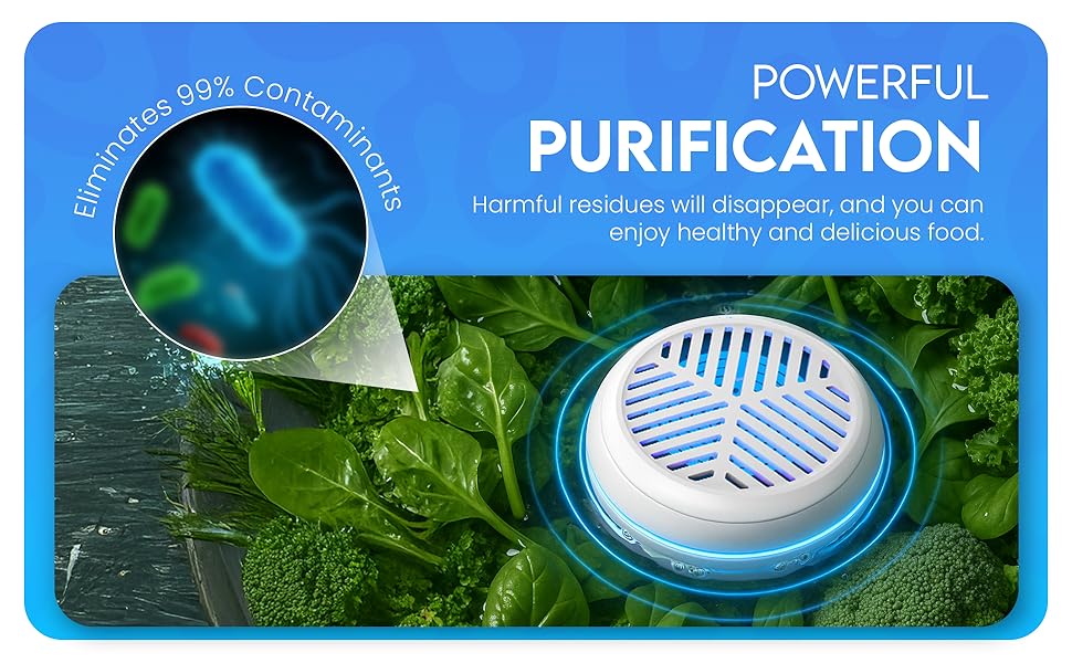 Vegetable Washing Machine