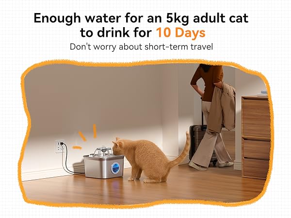 small cat water fountain
