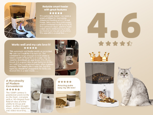 automatic cat feeder