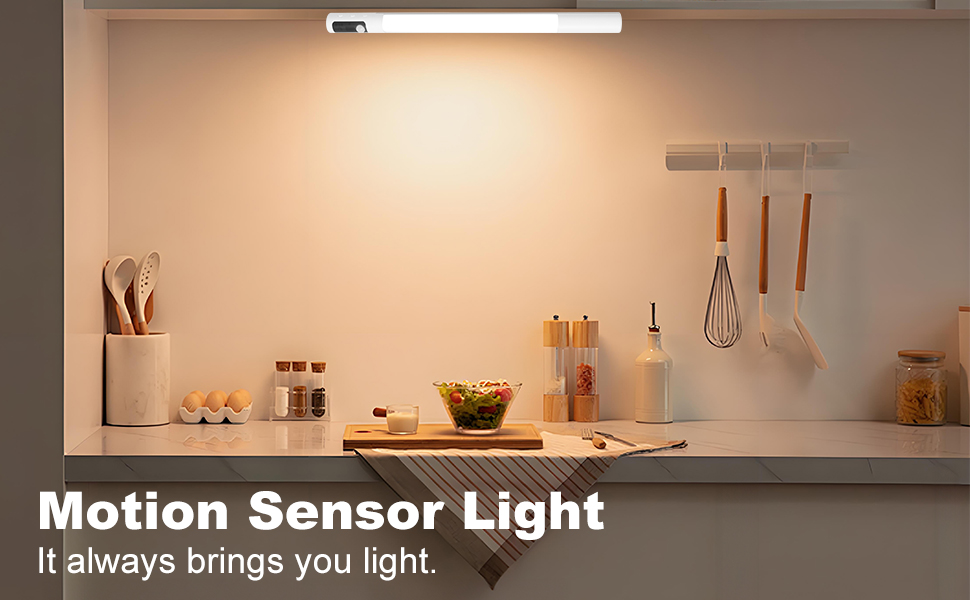 motion sensor light Scene Image