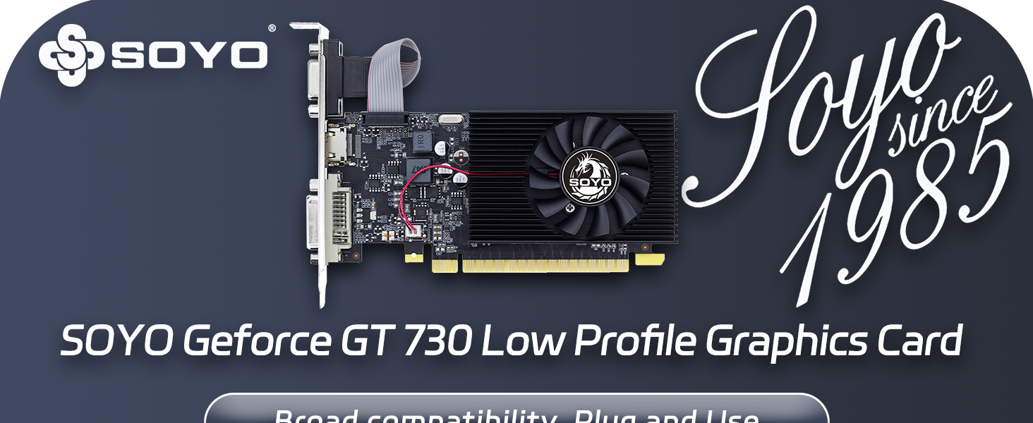 low profile graphics card