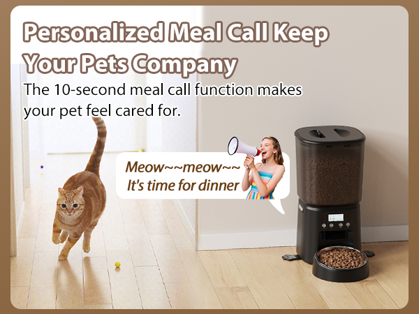 Automatic Cat Feeder