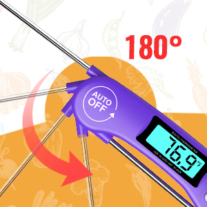 thermometer probe