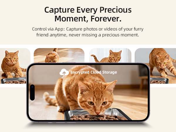 automatic cat feeder