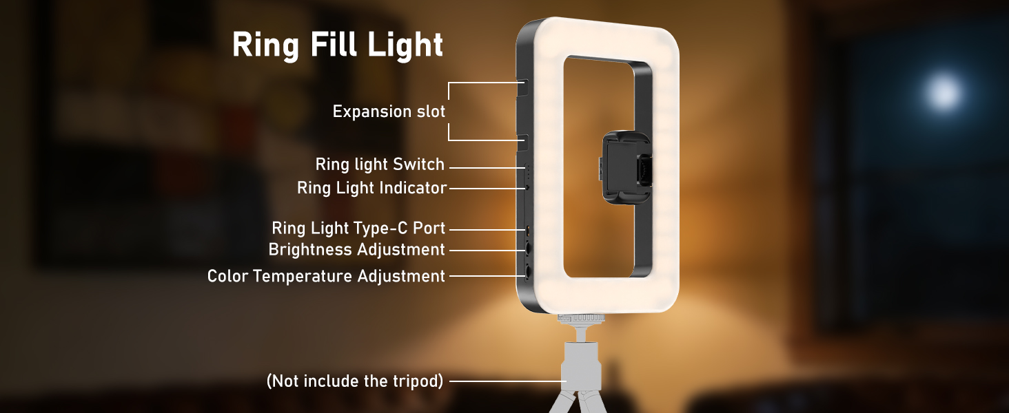Smartphone Video Rig with Light