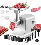 Huanyu Meat Grinder Electric 2800W Vegetable Shredder with 5 Sets Stainless Steel Blades,French F...