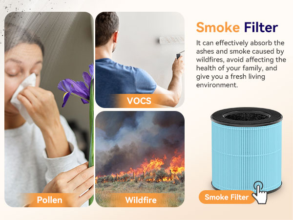 air purifier filters