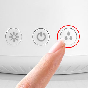 cool mist humidifiers