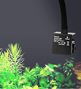 aquarium plant light