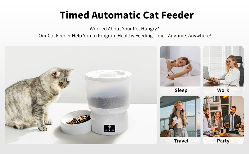programmable automatic cat feeders