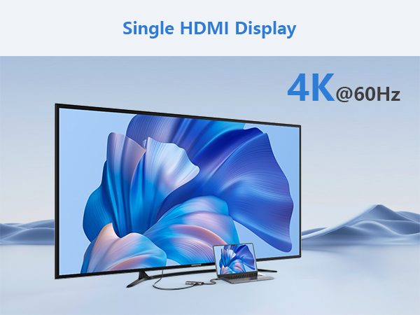 usb c to dual hdmi adapter