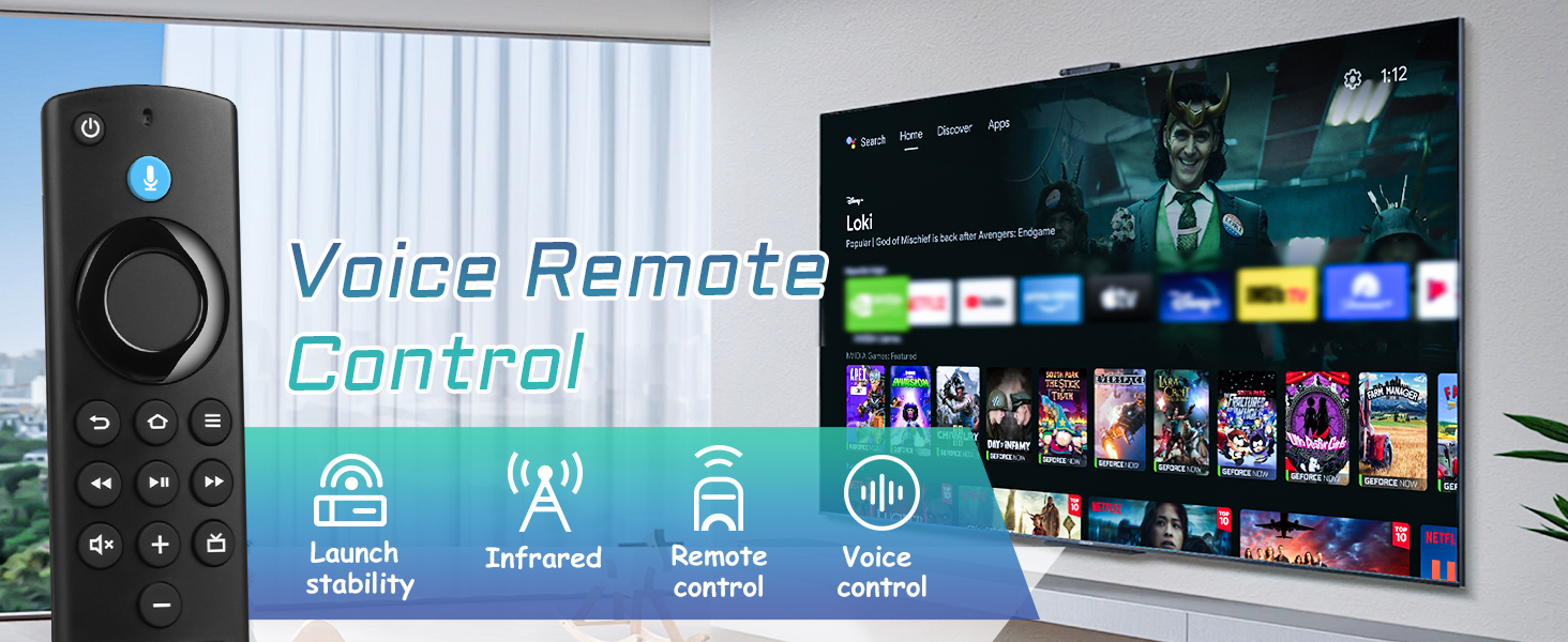 Voice Remote Replacement